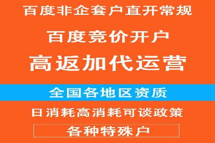 百度运营推广策略解析，看这些成功案例